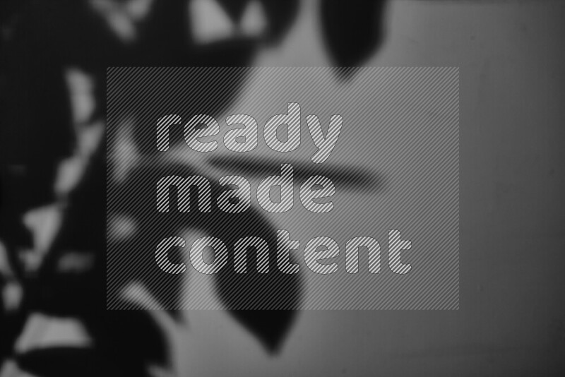 A delicate gobo light projects the silhouette of plant leaves onto a smooth surface