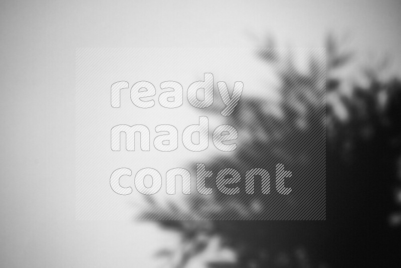 يظهر ضوء غوبو خافت ظلال أوراق نبات تسقط على سطح ناعم