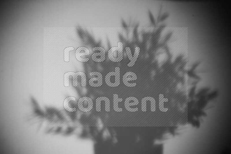 يظهر ضوء غوبو خافت ظلال أوراق نبات تسقط على سطح ناعم