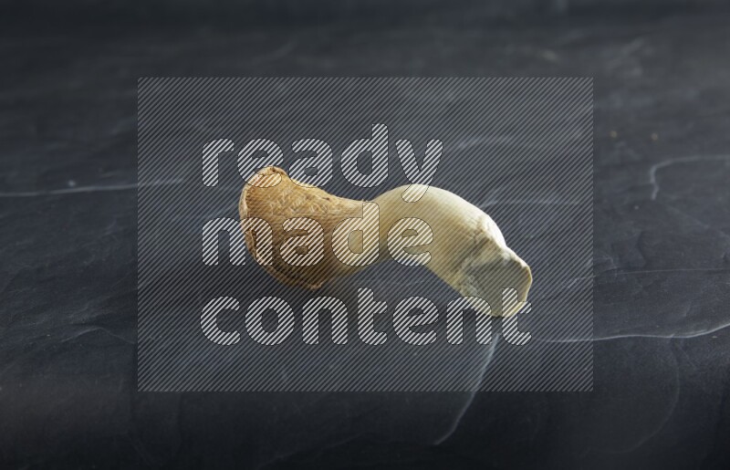 45 degre king oysters mushrooms on a textured black slate background