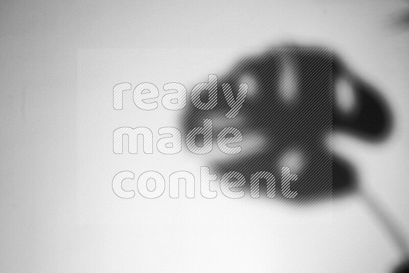 يظهر ضوء غوبو خافت ظلال أوراق نبات تسقط على سطح ناعم