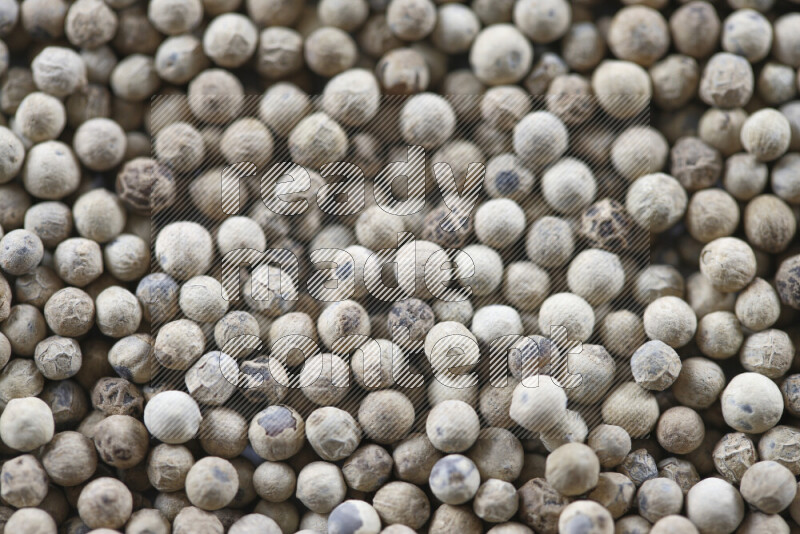 White pepper beads on white background