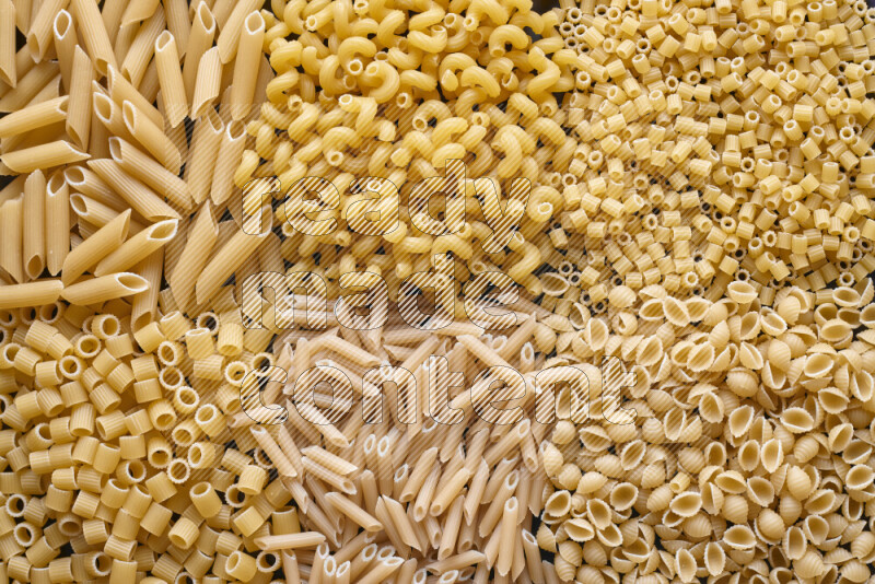 6 types of pasta filling the frame