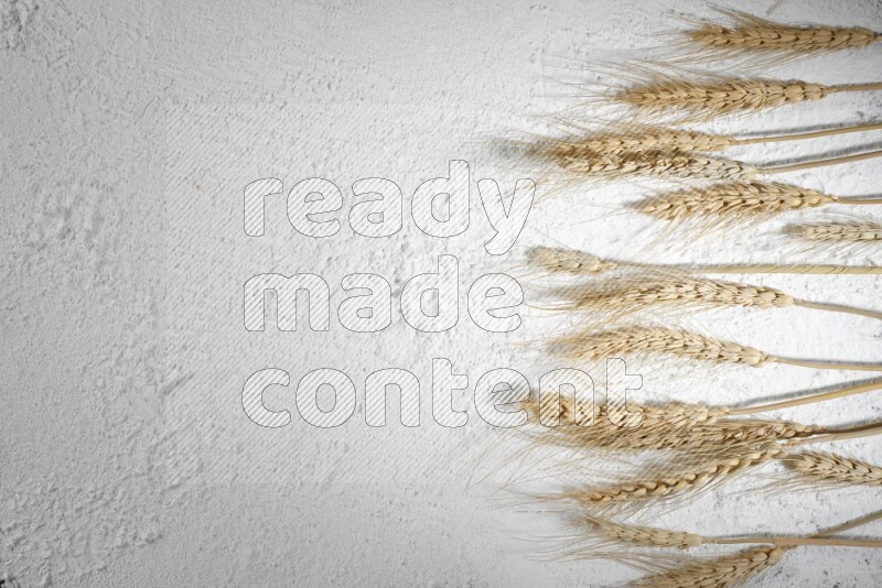 Wheat stalks on flour
