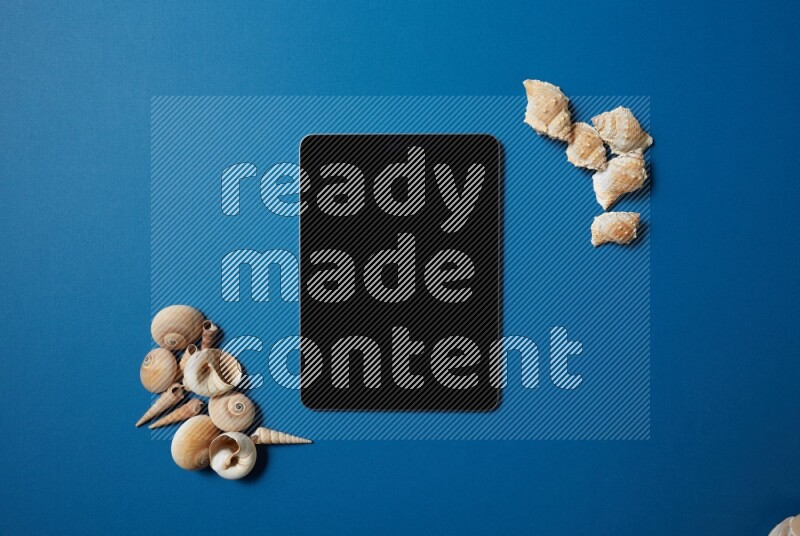 top view shot of a tablet, and seashells on blue background