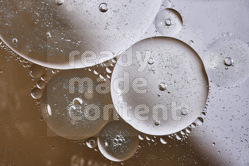 Close-ups of abstract oil bubbles on water surface in shades of white and brown
