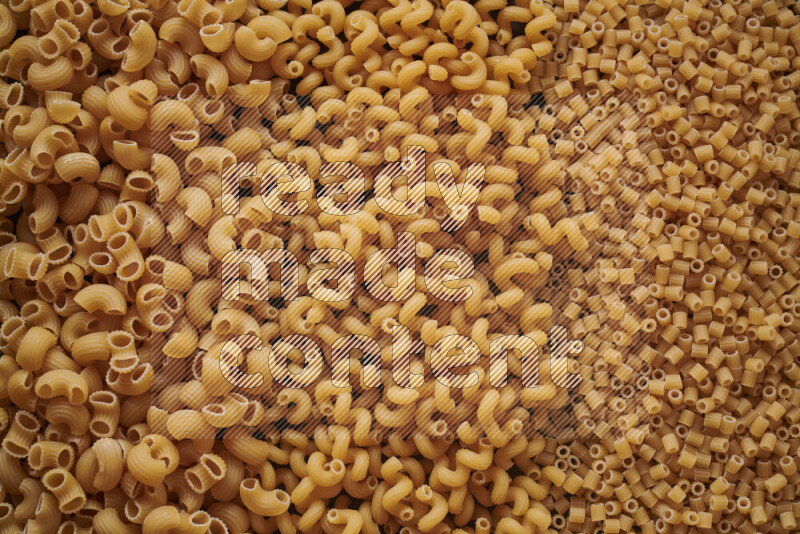 3 types of pasta filling the frame