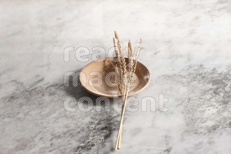 Wheat stalks on Beige Pottery Plate on grey marble flooring, 45 degree angel