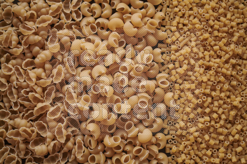 3 types of pasta filling the frame