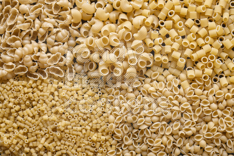 5 types of pasta filling the frame