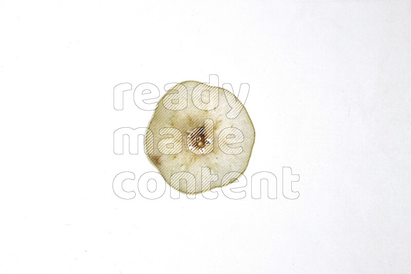 Pear slices on illuminated white background