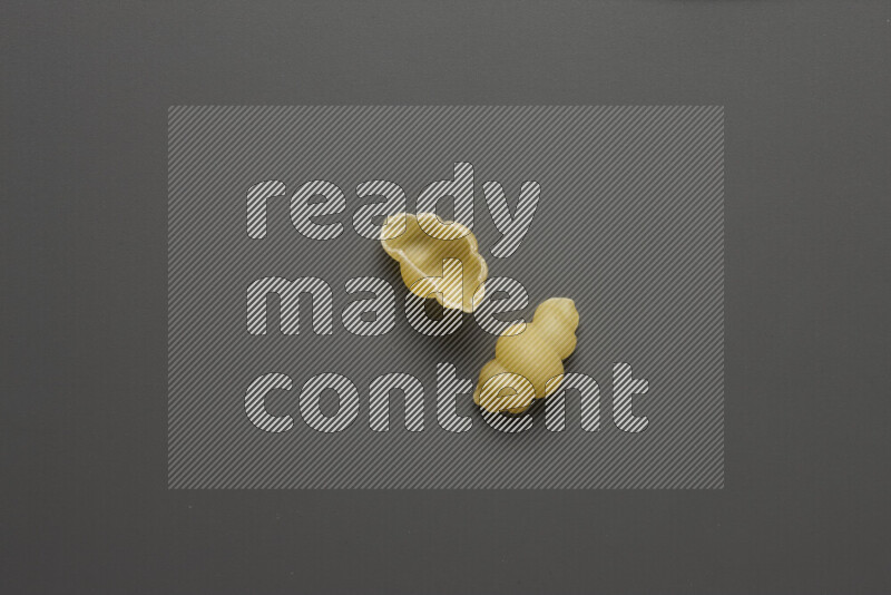 Snails pasta on grey background