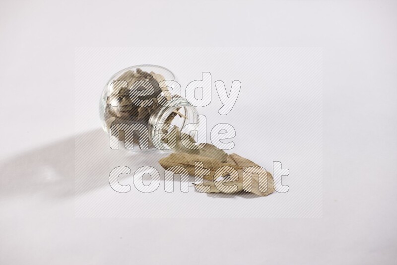 A glass spice jar full of dried bay leaves and jar is flipped and leaves spread out on white flooring