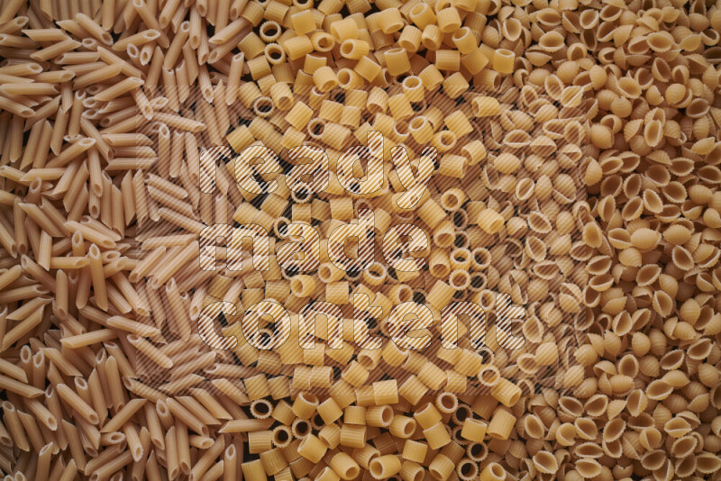 3 types of pasta filling the frame