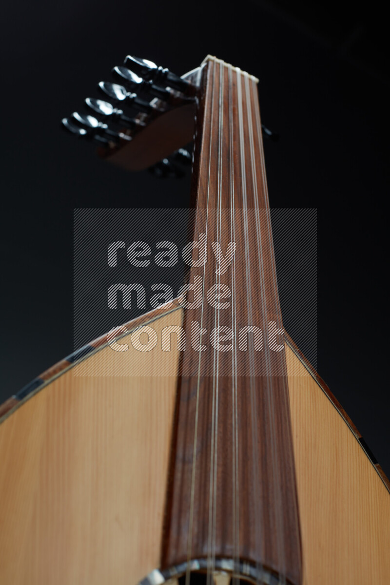 parts of a brown wooden Oud in a gray background
