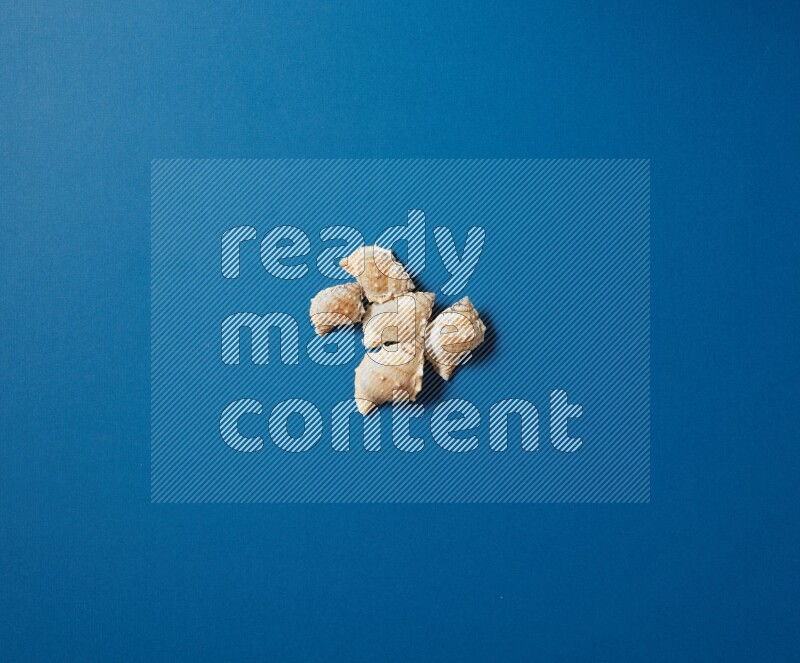 top view shot of seashells arrangement on blue background
