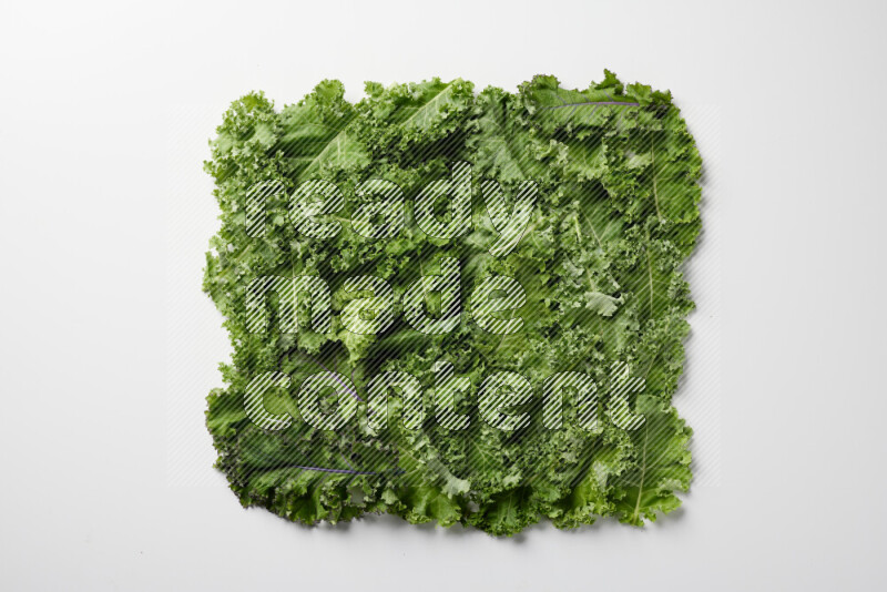 An array of kale leaves spread out on a white background