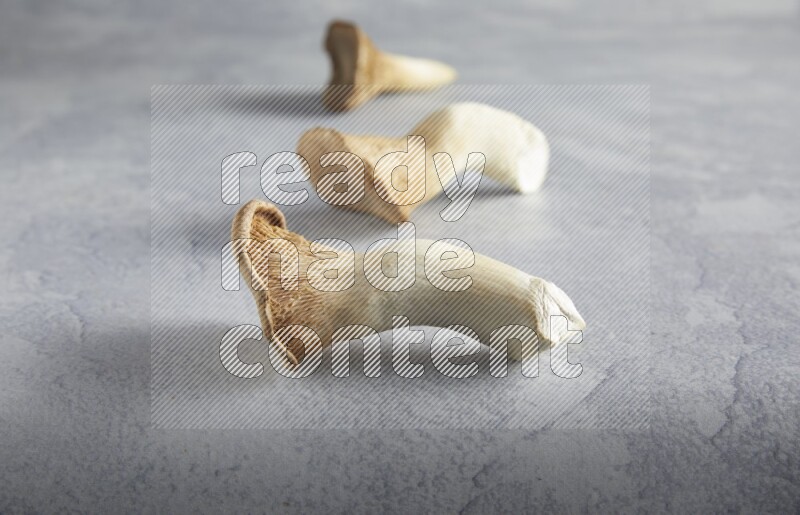 45 degre king oysters mushrooms on a textured light blue  background