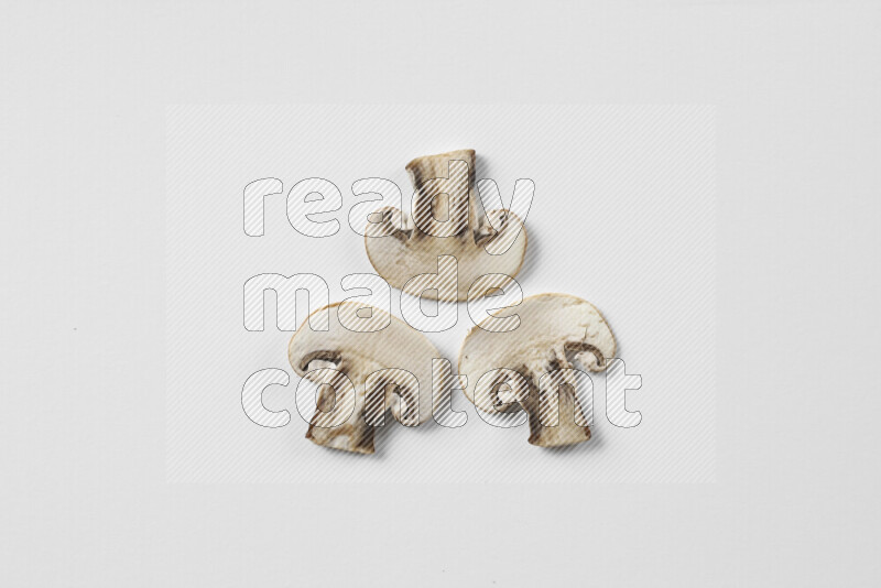 Mushrooms on white background
