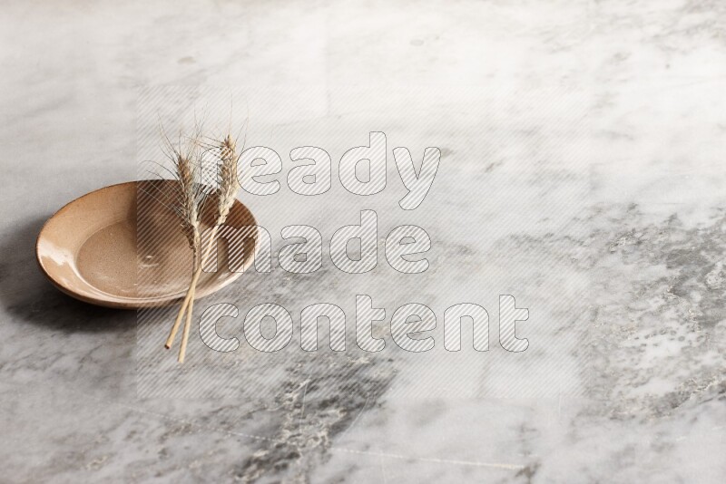 Wheat stalks on Beige Pottery Plate on grey marble flooring, 45 degree angel