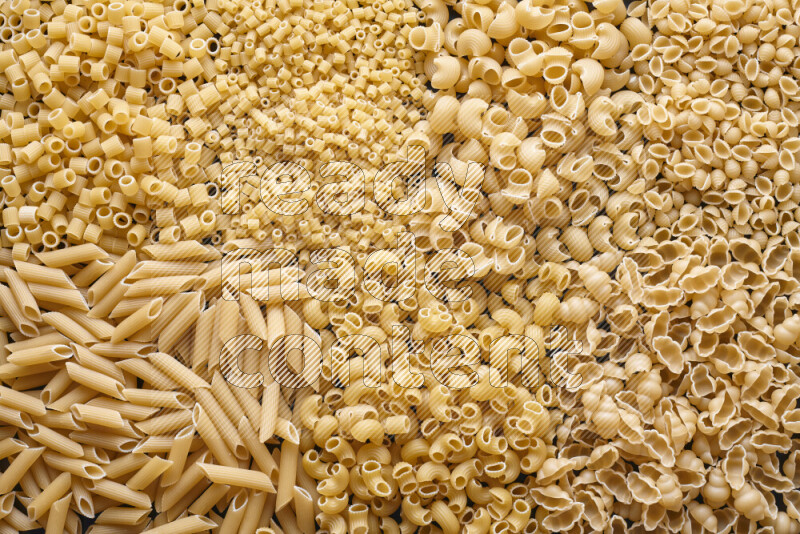 7 types of pasta filling the frame