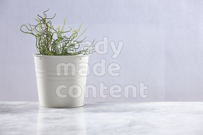 Green artificial plant in white pot on grey marble background