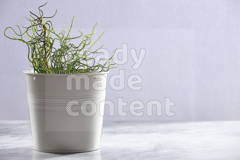 Green artificial plant in white pot on grey marble background