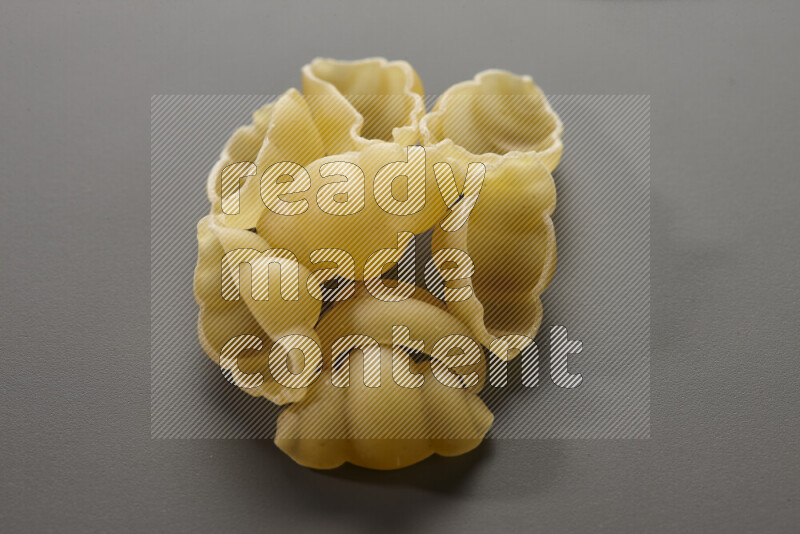 Snails pasta on grey background