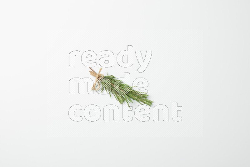 Multi fresh rosemary sprigs on white background