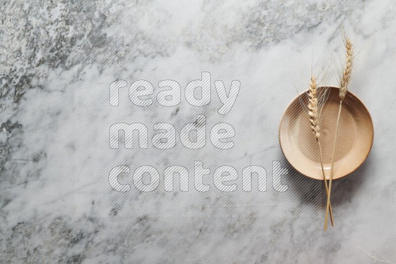 Wheat stalks on beige pottery plate on grey marble background