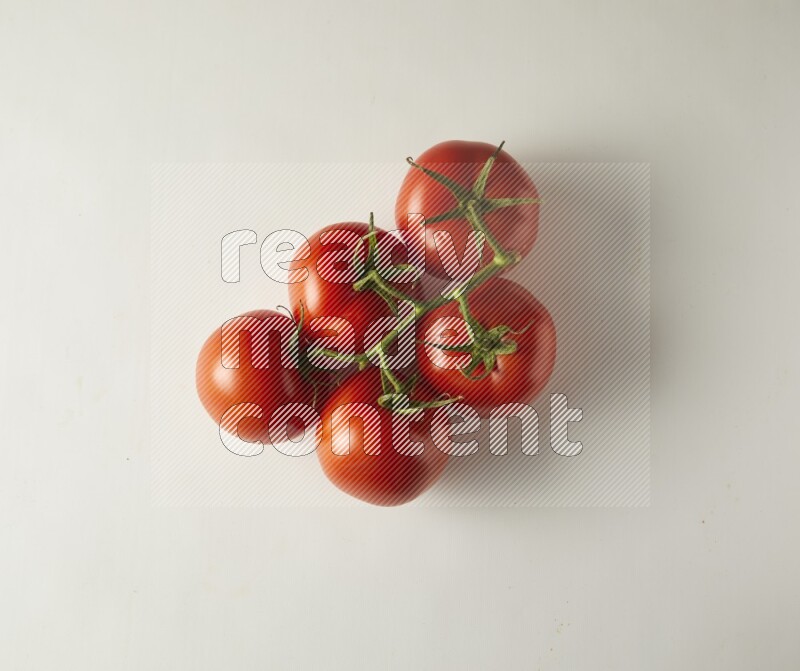big tomato vein topview on a white background