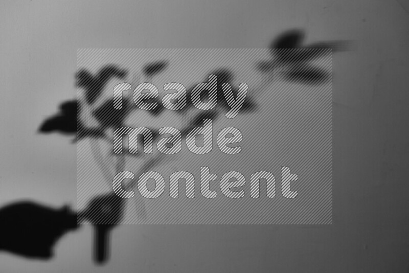 يظهر ضوء غوبو خافت ظلال أوراق نبات تسقط على سطح ناعم