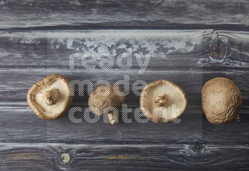 group of fresh shiitake Mushrooms topview on a grey wooden background