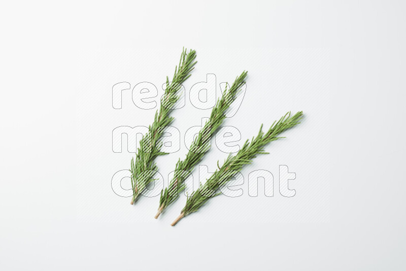 Three fresh rosemary sprigs on white background