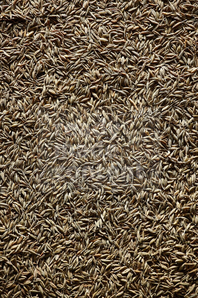 Cumin seeds on black flooring