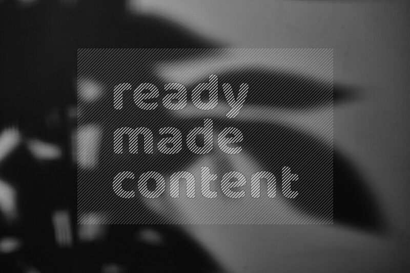 A delicate gobo light projects the silhouette of plant leaves onto a smooth surface