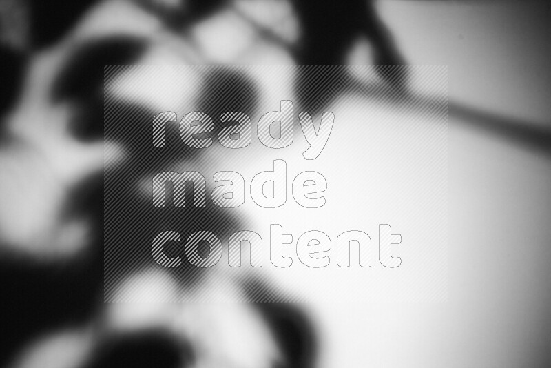 A delicate gobo light projects the silhouette of plant leaves onto a smooth surface