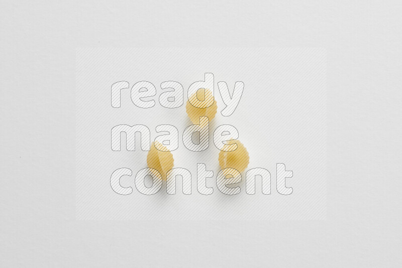 Shells pasta on white background