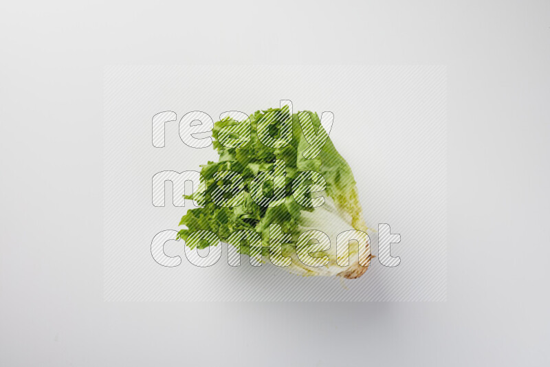 A fresh head of lettuce with green leaves on white background
