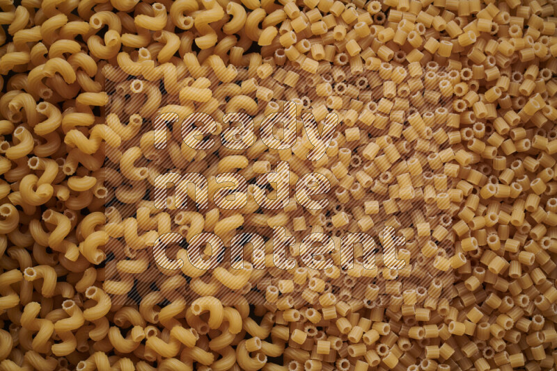 2 types of pasta filling the frame