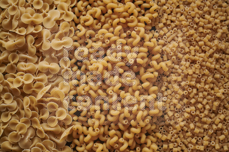 3 types of pasta filling the frame