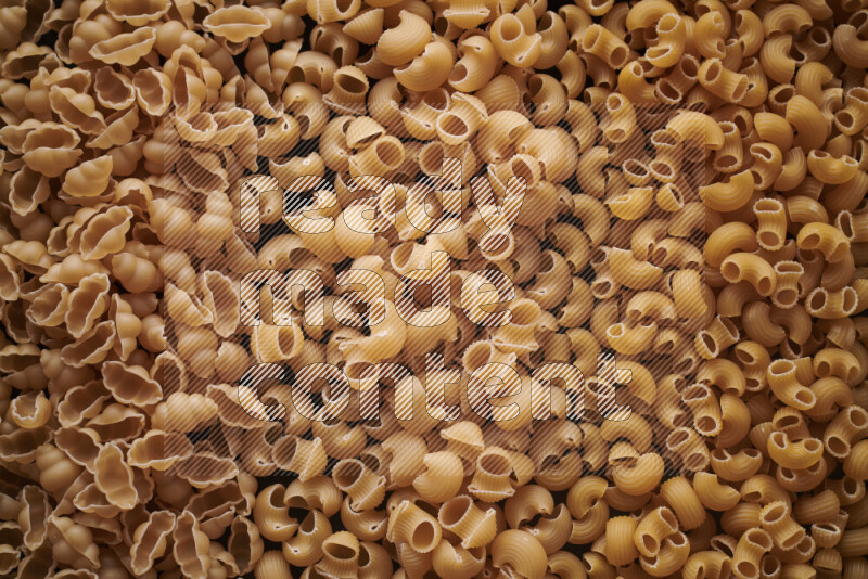 3 types of pasta filling the frame