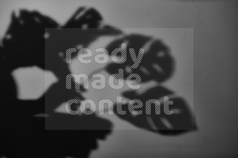 يظهر ضوء غوبو خافت ظلال أوراق نبات تسقط على سطح ناعم