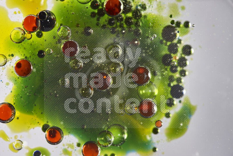 Close-ups of abstract red, blue, yellow and green watercolor drops on oil Surface on white background