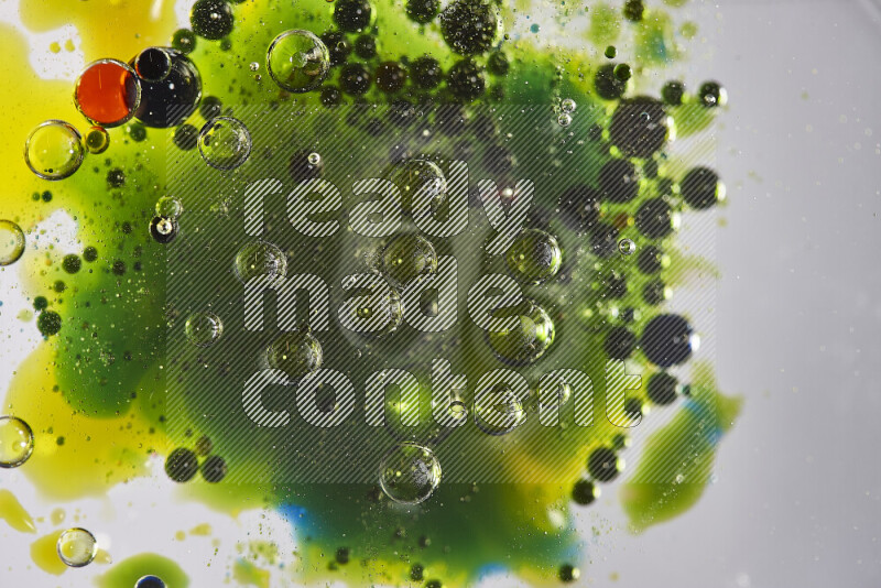 لقطات مقربة لقطرات ألوان مائية حمراء وزرقاء وصفراء وخضراء على سطح الزيت على خلفية بيضاء