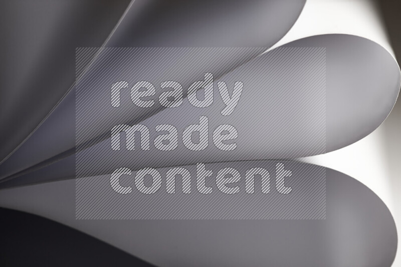 فن تجريدي يعرض المنحنيات المرتبة للأوراق باللون الرمادي