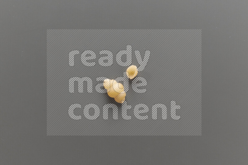 Snails pasta with other types of pasta on grey background