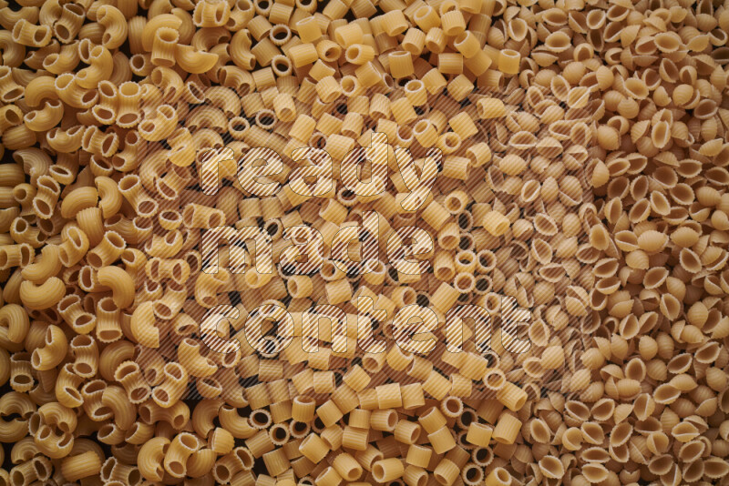 3 types of pasta filling the frame